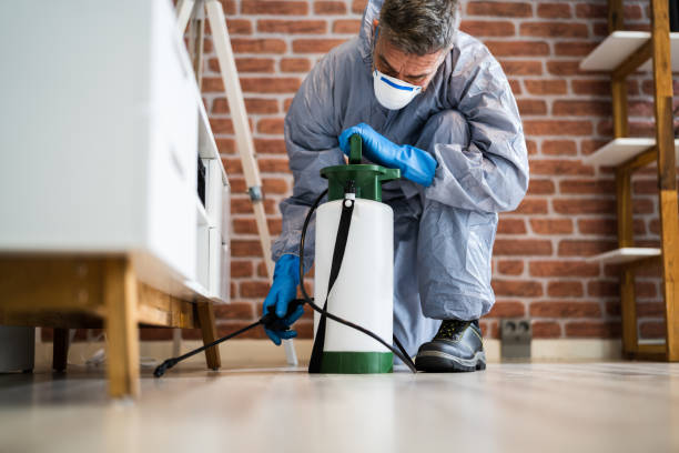 Best Bed Bug Extermination  in Balmville, NY